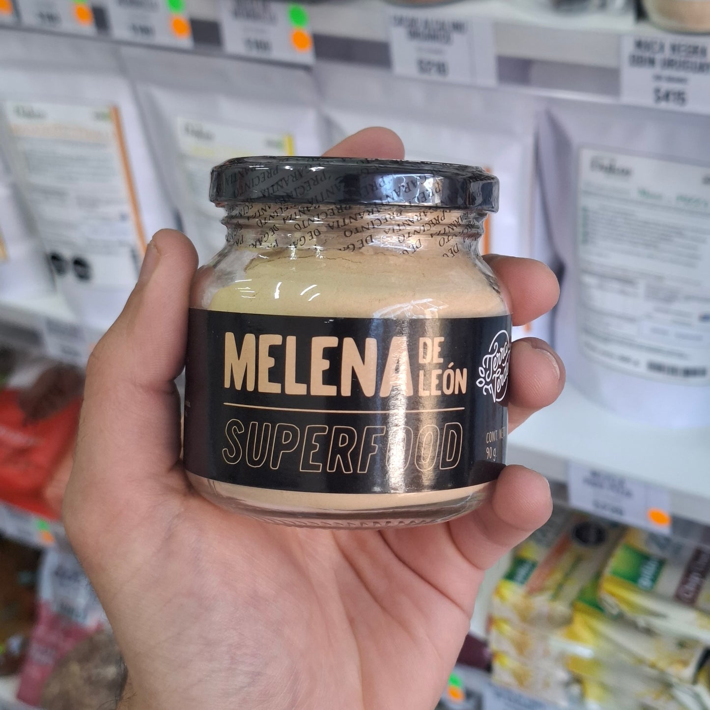 Melena de León en Polvo - 90 Gramos | Terra Verde